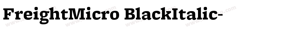 FreightMicro BlackItalic字体转换